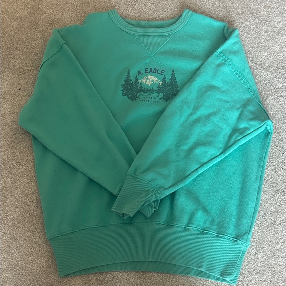 American Eagle Outfitters Green Crewneck Sweater